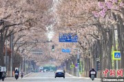 德州共建“花园城市” 北京这场议政会“百花齐放”