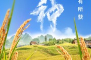 德州芒种节气小知识来了 夏种作物都有什么？