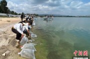 德州云南江川举行增殖放流活动 逾54万尾鱼游入星云湖